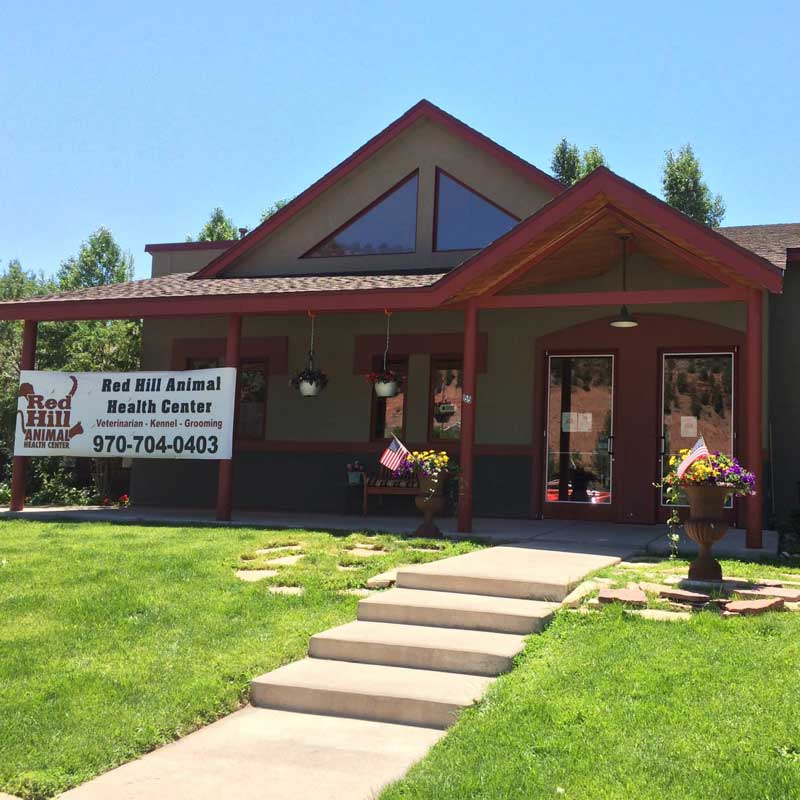 Carbondale Pet Hospital