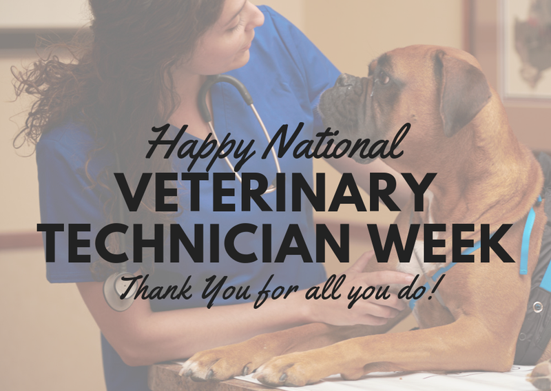 Carousel Slide 8: Celebrating our amazing nurses during National Veterinary Technican Week Oct 19th - 25th
